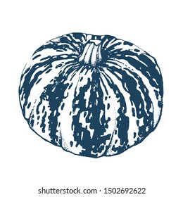 pumpkin hand drawing, vector illustration isolated on white background
