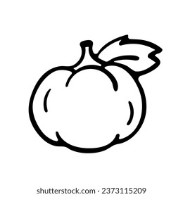 Pumpkin. Hand drawn autumn doodle isolated on white background. Vector Illustration. EPS10
