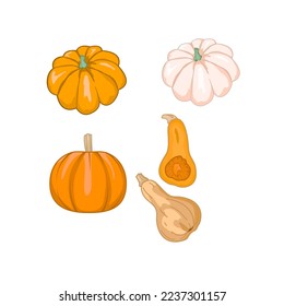 pumpkin hand drawn collection. pumpkin design for banner, Printing ,Packaging, pumpkin related products.