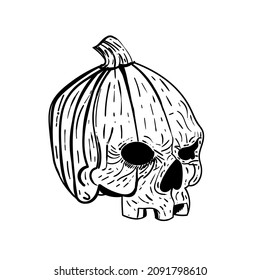 pumpkin hand drawn design vector