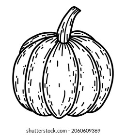 Calabaza en forma de doodle dibujado a mano. Ilustración de vector lineal de otoño