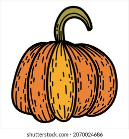 Pumpkin in hand drawn doodle style. Linear autumn vector illustration.