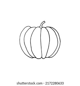 pumpkin hand drawn in doodle style. vegetable in simple line art.