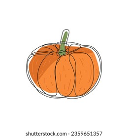 Pumpkin hand drawn in doodle style. Autumn pumpkin line art.