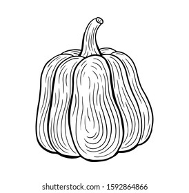 pumpkin hand drawn engraved style sketch drawing vector illustration
