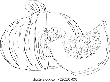 pumpkin hand drawn graphic style 5