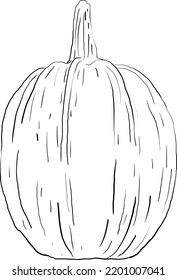 pumpkin hand drawn graphic style 6