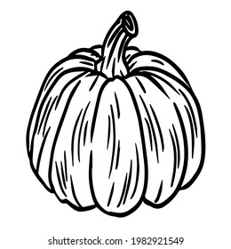 Pumpkin hand drawn illustration isolated on white background.