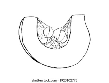 Pumpkin hand drawn outline doodle. Slice of pumpkin sketch. Printing on paper, fabrics, dishes, posters, mugs. Stock vector illustration.