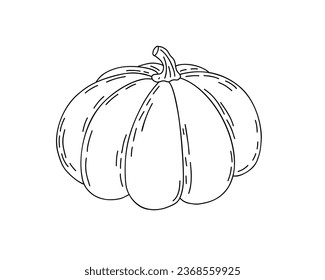 Pumpkin hand drawn outline doodle vector illustration vegetable for seasonal autumn holidays celebration design, healthy vegetarian diet, Thanksgiving, Halloween clipart