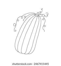Pumpkin hand drawn outline doodle vector illustration vegetable for seasonal autumn holidays celebration design, healthy vegetarian diet, Thanksgiving, Halloween clipart