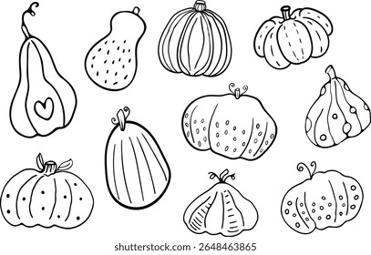 Pumpkin hand drawn outline vector collection. Halloween autumn illustration. Coloring page perfect for Halloween designs, autumn harvest themes and Thanksgiving decorations