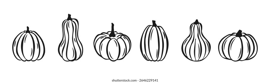 Pumpkin Hand Drawn Set for Thanksgiving Day or Halloween Isolated on white Background. Vector Outline Silhouette Traditional Halloween Decorative line Element. Thanksgiving Pumpkin line Icon Sketch.