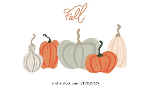 Pumpkin hand drawn simple set. Flat illustrations of pumpkins and squash. Autumn collection for thanksgiving, harvest and halloween. Vector fall drawing