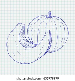 Pumpkin. Hand drawn sketch on notebook sheet background. Vector illustration