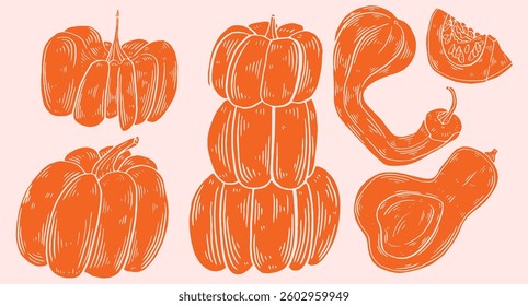Pumpkin hand drawn sketch set. Silhouette fresh vegetable clip art. Use for branding or packaging design, decoration. Doodle Vintage style vector illustration with detailed line art.