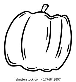 Calabaza. Ilustración vectorial dibujada a mano en estilo doodle, aislada en un fondo blanco.