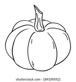 Pumpkin. Hand drawn vector illustration in doodle style, isolated on a white background.