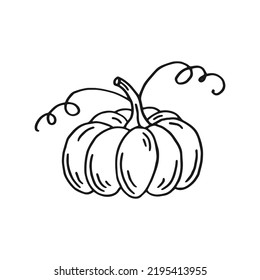 Pumpkin. Hand drawn vector illustration in doodle style. Black and white image of vegetables.