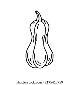 Pumpkin. Hand drawn vector illustration in doodle style. Black and white image of vegetables.