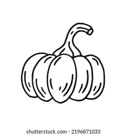 Pumpkin. Hand drawn vector illustration in doodle style. Black and white image of vegetables.