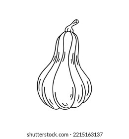 Pumpkin. Hand drawn vector illustration in doodle style. Black and white image of vegetables.