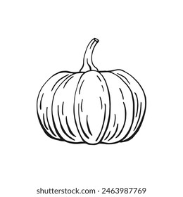 Calabaza. Ilustración vectorial dibujada a mano