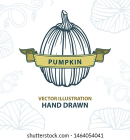Pumpkin. Hand drawn vintage style pumpkin with ribbon vector illustration. Engraving pumpkin autumn harvest. Retro card design with pumpkin sketch.  Part of set.