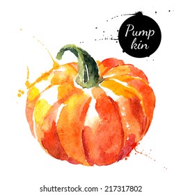 Pumpkin. Hand drawn watercolor painting on white background. Vector illustration