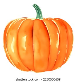 pumpkin hand drawn with watercolor painting style illustration