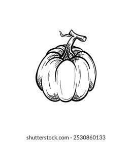 Icono de Vector de alimentos dibujado a mano de calabaza
