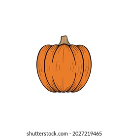 Plantilla de diseño de ilustraciones dibujadas a mano aisladas 
