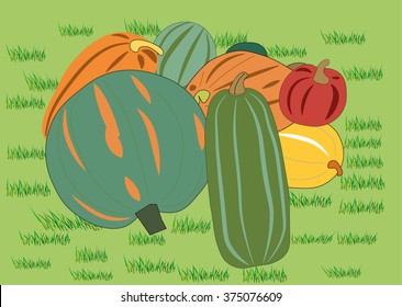 pumpkin harvest
