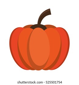 pumpkin harvest bittersweet vegetable icon