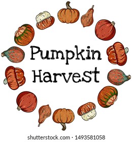 Pumpkin harvest decorative wreath banner with cute colorful pumpkins. Fall harvest postcard