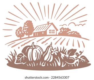 Pumpkin harvest landscape. Autumn Harvest