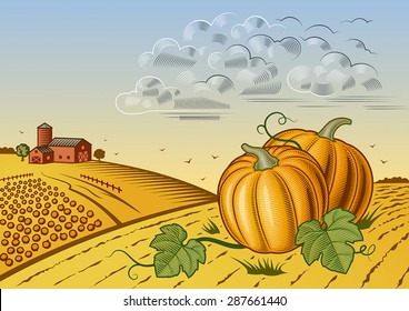 Pumpkin harvest landscape. Editable vector illustration with clipping mask.