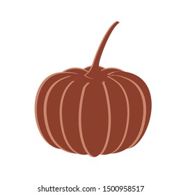 pumpkin in harvest on white background