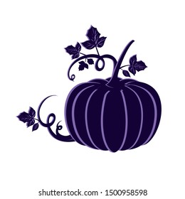 pumpkin in harvest on white background