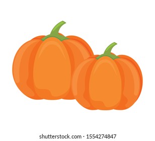 pumpkin in harvest on white background vector illustration design