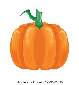 pumpkin healthy vegetable detailed style icon vector illustration design