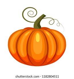 Pumpkin, holiday Halloween, character halloween, attribute, icon, vector, illustration, isolated, cartoon style