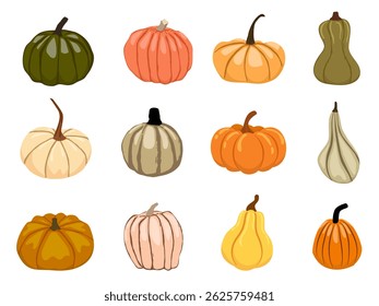 Pumpkin icon. Autumn vegetable symbol. Thanksgiving pumpkin vector illustration. Orange Halloween decoration concept. October gourd outline and flat sign isolated.
