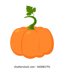Pumpkin icon cartoon.