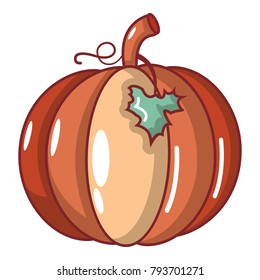 Pumpkin icon. Cartoon illustration of pumpkin vector icon for web