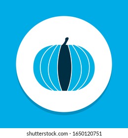 Símbolo color icono de calabaza. Un elemento gastronómico aislado de primera calidad en un estilo moderno.