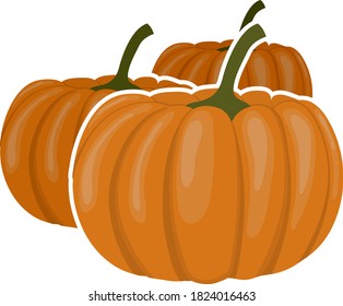 Pumpkin Icon. Flat Color Design. Vector Illustration.