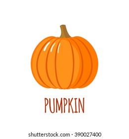 Pumpkin icon in flat style. Isolated object. Pumpkin logo.Vegetable from the farm. Organic food. Vector illustration. 