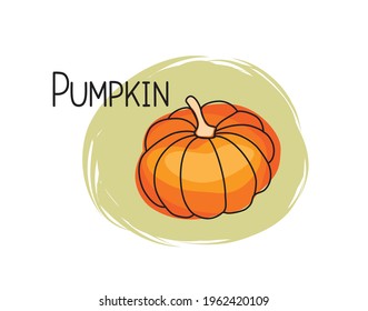 Pumpkin icon. Full fruit pumpkin isolated on white background with lettering Pumpkin. Vegetable stylish drawn symbol Pumpkin