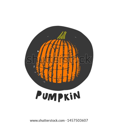 Pumpkin icon. Hand drawn realistic vector illustration. Organic vegetable. Eco food. Farm market product. Isolated white background. Can be used for shop, menu, card, poster, label